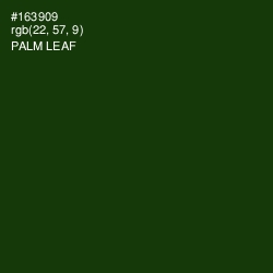 #163909 - Palm Leaf Color Image